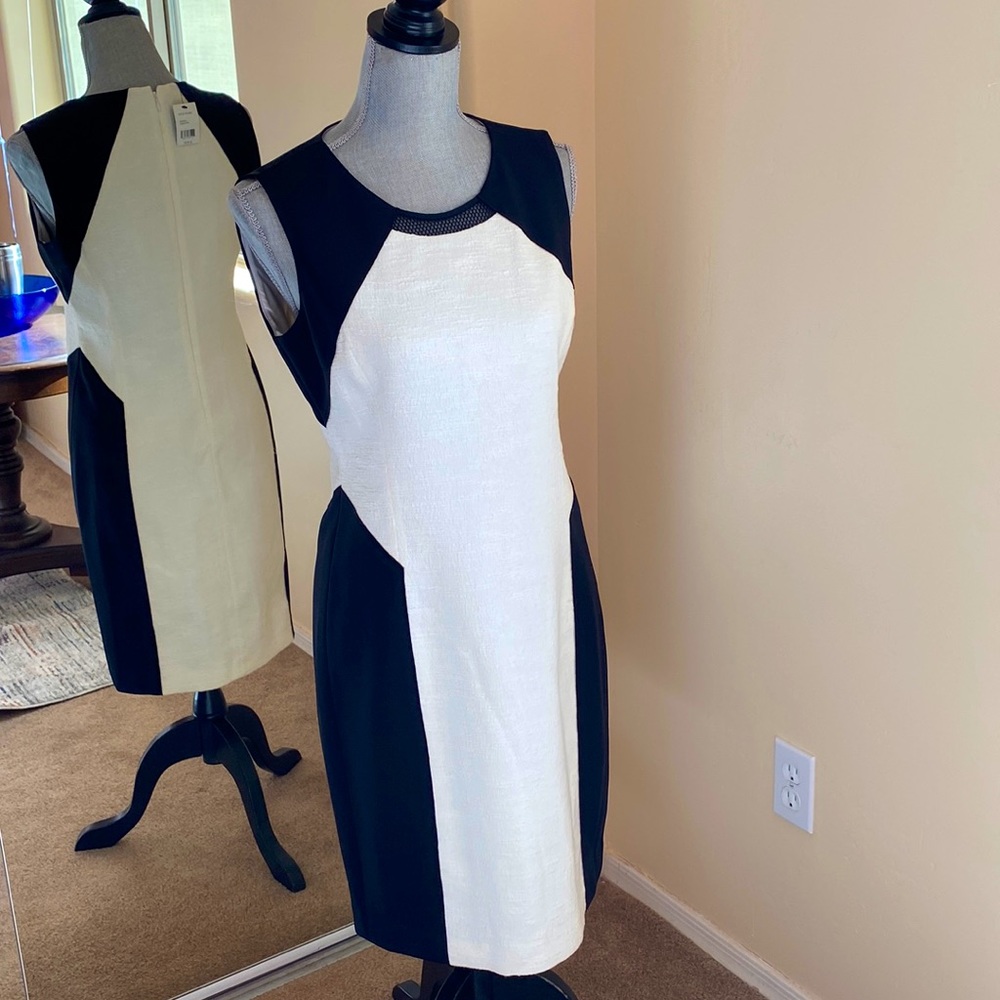 NWT Classy Tahari black/ivory dress. Lovely textured fabric/mesh trim @ neck. 6
